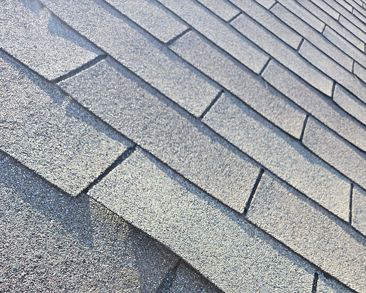 forney-roof-replacement